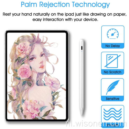 Touchscreen Apple iPad-pen